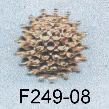 F249-08