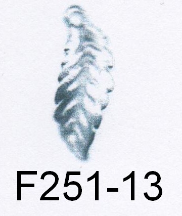 F251-13