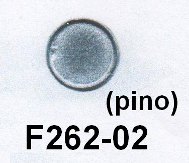 F262-02