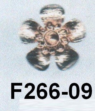 F266-09