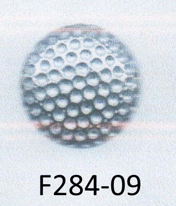 F284-09