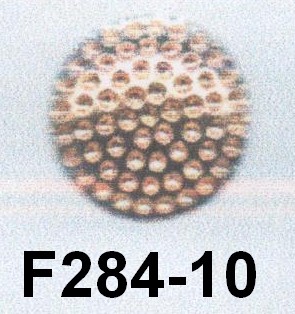 F284-10